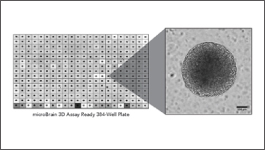 Wide selection of BMEs and other ECMs for 3-D culturing