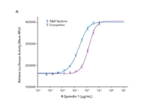 Comparison of the bioactivity of R&D Systems Recombinant Human R-Spondin 1 and a leading competitors R-Spondin 1 shows that the R&D Systems protein displays 7-fold higher activity.