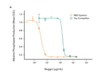 Comparison of the bioactivity of R&D Systems Recombinant Human Noggin and a leading competitors Noggin indicates that the R&D Systems protein displays 30-fold higher activity.